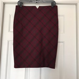 Express Pencil Skirt